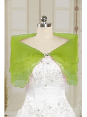 2015 New Style Beading Organza Shawls in Spring Green