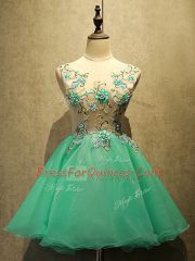 Scoop Sleeveless Organza Prom Party Dress Embroidery Lace Up