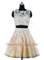 Ideal Scoop Beading and Appliques Prom Evening Gown Champagne Zipper Sleeveless Knee Length