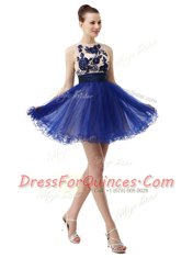 Scoop Appliques Royal Blue Clasp Handle Sleeveless Knee Length