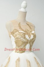 Scoop Champagne Tulle Zipper Prom Gown Sleeveless Knee Length Lace and Appliques