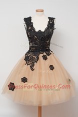 Sexy Square Sleeveless Evening Dress Knee Length Appliques Champagne Tulle