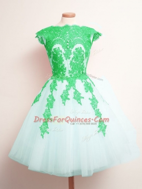 Tulle Sleeveless Mini Length Quinceanera Court Dresses and Appliques