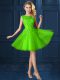Cute Tulle Bateau Cap Sleeves Lace Up Lace and Appliques Damas Dress in